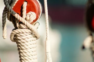 Sunset Cruise gallery image 5