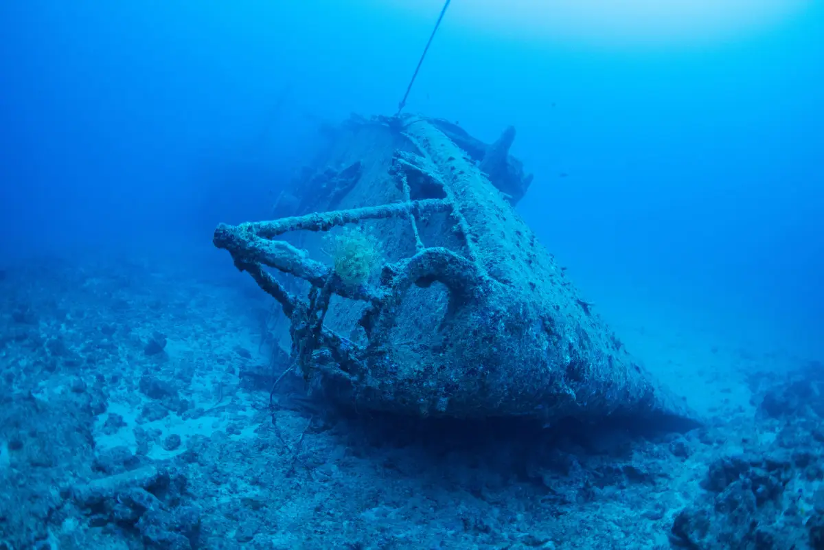 Gold Beneath the Sea: The Incredible Record-Breaking Adriatic Discovery