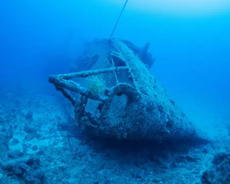 Gold Beneath the Sea: The Incredible Record-Breaking Adriatic Discovery